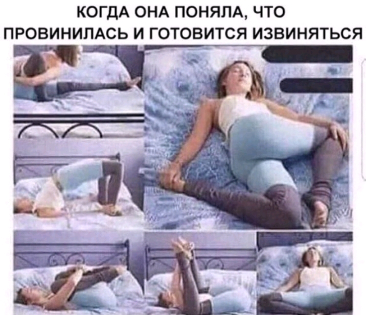 КОГДА ОНА ПОНЯЛА ЧТО ПРОВИНИПАСЬ И ГОТОВИТСЯ ИЗВИНЯТЬСЯ