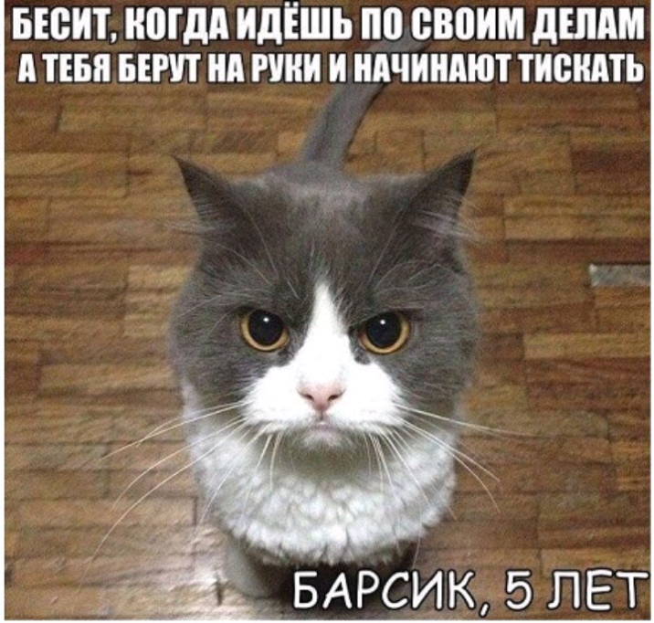 БЮИТ МДА ИДЁШЬ по своим дШАМ А ТЕБЯ БЕРП нд ПНП И НАЧИНАЮТ ТИСШПЬ