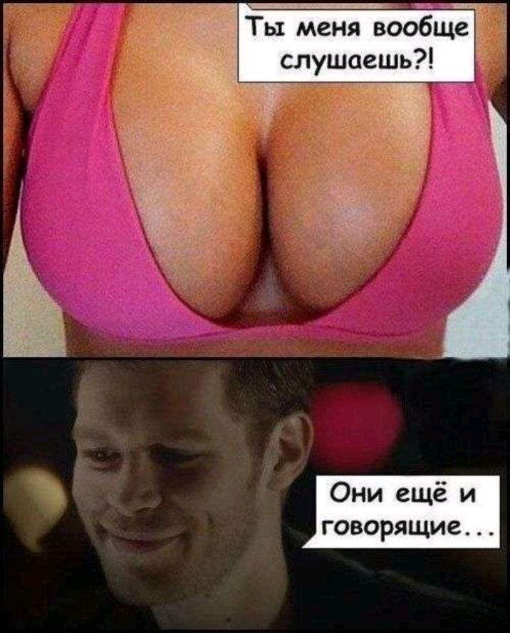 Ты меня вообщт слушаешь Они ещё и говорящие
