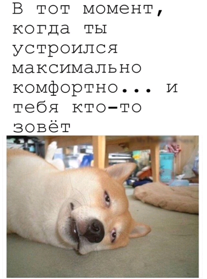 В тот момент когда ты устроился максимально комфортно и тебя ктото