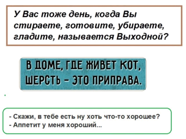 У Вас тоже день когда Вы стираете готовите убираете гладите называется Выходной Скажи в тебе есть ну хоть чтото хорошее Аппетит у меня хороший
