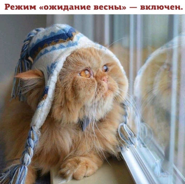 ЁЕЭЕСЪИ С ЕСИДЕПЯГУАЕ ВЭСНЬП ЗКТЦСЧЕН