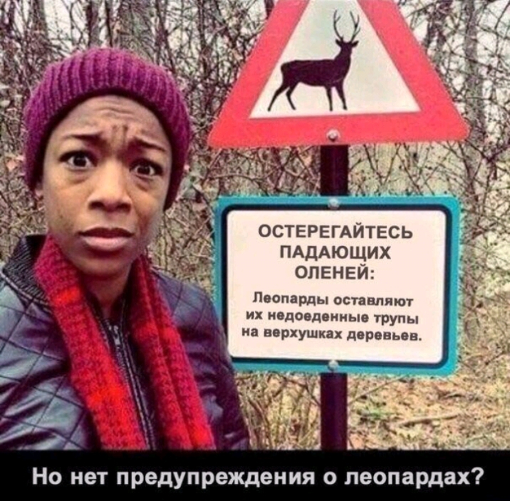 ОСТЕРЕГАЙТЕСЬ ПАДАЮЩИХ ОЛЕНЕИ Леопарды оставляют их ивдоедвиныв трупы на верхушках деревьев Но нет предупреждения о леопардах