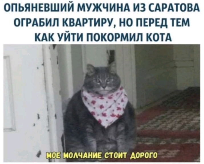 ОПЬЯНЕВШИЙ МУЖЧИНА ИЗ САРАТОВА ОТРАБИП КВАРТИРУ НО ПЕРЕД ТЕМ КАК УЙТИ ПОКОРМИЛ КОТА МОЕМОАЧАИИЕ СТОИТ ДОРОГО
