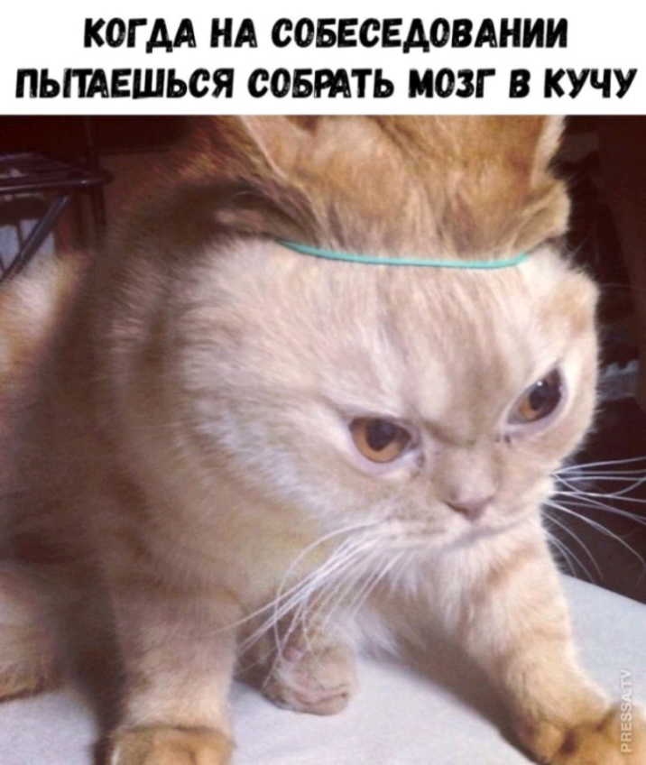 КОГ АА НА СОБЕСЕДОВАНИИ ПЬГШЕШЬСЯ СОБРАТЬ МОЗГ В КУЧУ