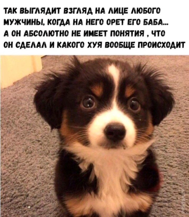 ТАК ВЫГАЯАНТ ВЗГАЯА НА АНЦЕ МОБОГ О МУЖЧИНЫ КОГДА НА НЕГО ОРЕТ ЕГО БАБА А ОН АБООМОТНО НЕ ИМЕЕТ ПОНЯТИЯ ЧТО ОН ОАЕААА И КАКОГО ХУЯ ВООБЩЕ ПРОИСХОАНТ