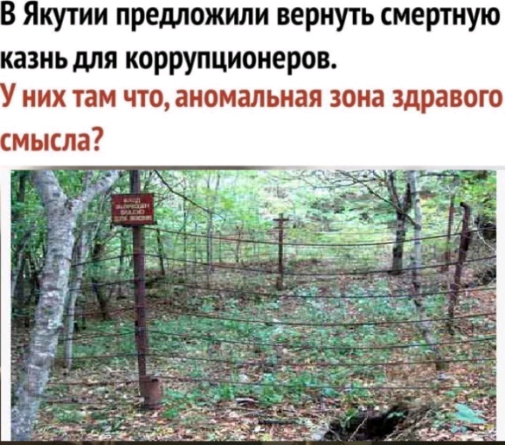 В Якутии предложили вернуть смертную казнь для коррупционеров НИХ там ЧТО аномальная зона ЗдраВОГО смысла