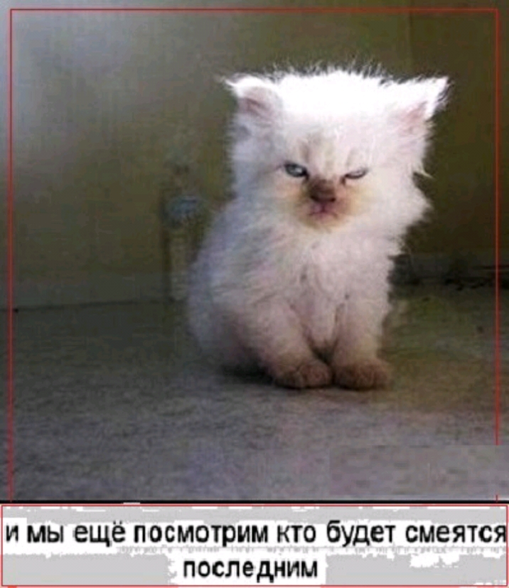 и мы ещё посмотрим кто будет смеятс последним