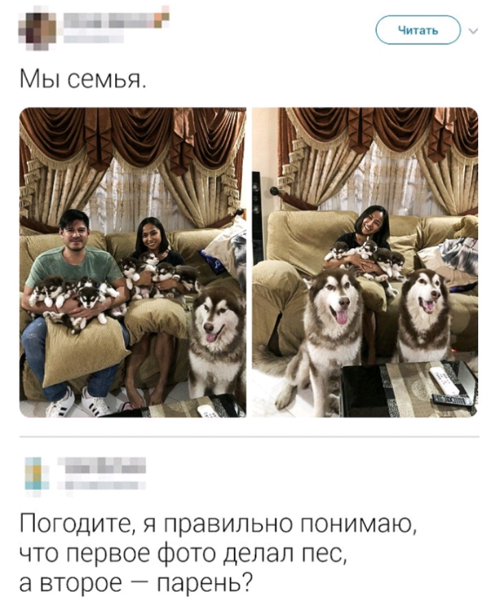 ПОГОДИТе Я правильно ПОНИМЭЮ что первое фото делал пес а второе парень