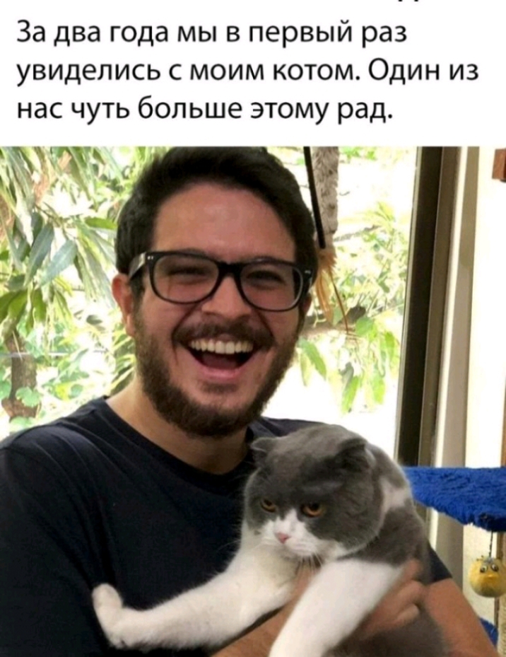За два года мы в первый раз увиделись с моим котом Один из нас чуть больше этому рад