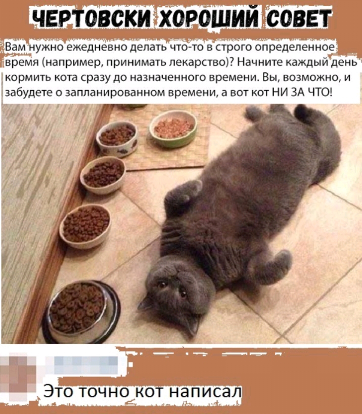 чертовски хороший совет Вам нужно ежедневно делать что то в строго определенное время например принимать лекарство Начните каждый день кормить кота сразу до назначенного времени Вы возможно и забудете о запланированном времени а вот кот НИ ЗА ЧТО Это точно кот написал