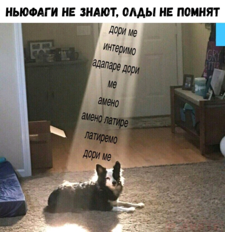 НЫОФАГ И НЕ ЗНАЮТ ОААЫ НЕ ПОМНЯТ