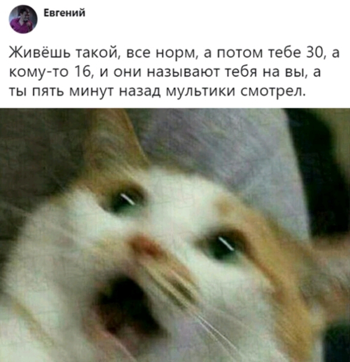 Евгений Живёшь такой все норм а потом тебе 30 а комуто 16 и они называют тебя на вы а ты пять минут назад мультики смотрел