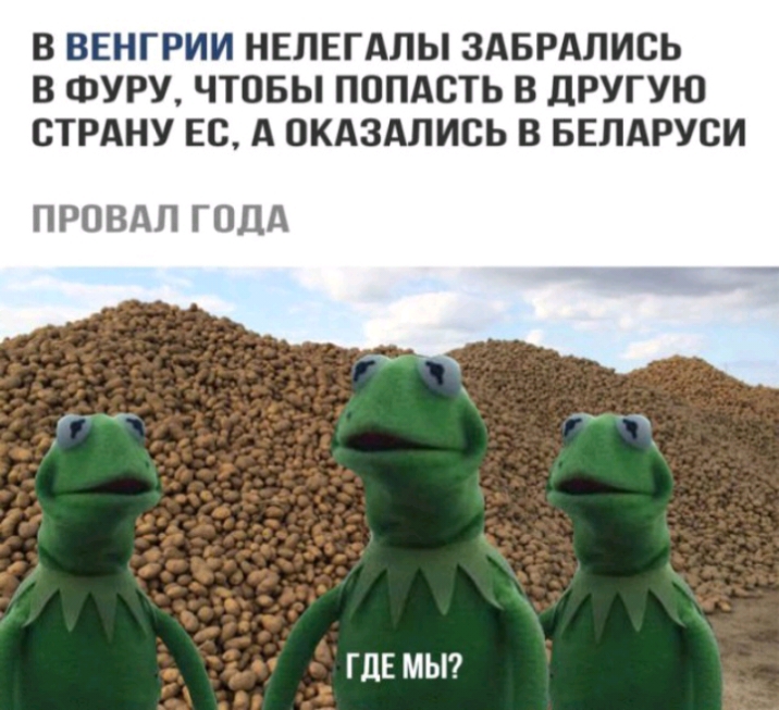 В ВЕНГРИИ НЕЛЕГАЛЫ ЗАБРАЛИСЬ В ФУРУ ЧТОБЫ ПОПАСТЬ В дРУГУЮ СТРАНУ ЕС А ОКАЗАЛИСЬ В БЕЛАРУСИ ПРОВАЛ ГОДА ГДЕ МЫ