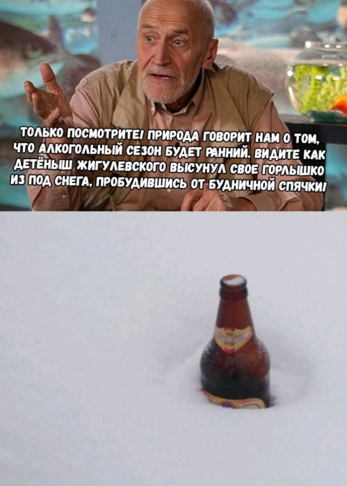 к ТОАЬКО ПОСМОТРИТЕ ПРИРОДА Г 080 ИТ ИАП О ТОМ ЧТО ААКОГОАЬНЫИ СЕЗОН БУАП ЩТНИИ ВИАИТ Е КАК АЕТЁНЬШ ЖИГУАЕВСКОГ О ВЫСУНУА СВОЕЕОРАЬШКО И ПОД СНЕГ А ПРОБУАИВШИСЬ ОТ БУДНИЧНОИОПЯЧКИ 1