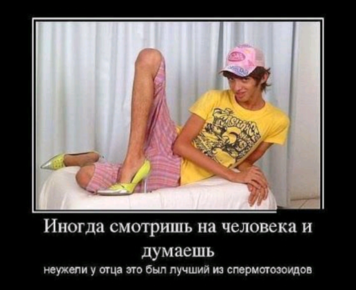 Иногда СМОТРИШЬ на человека И думаешь неужели у отца это был лучший из сперматозоидов