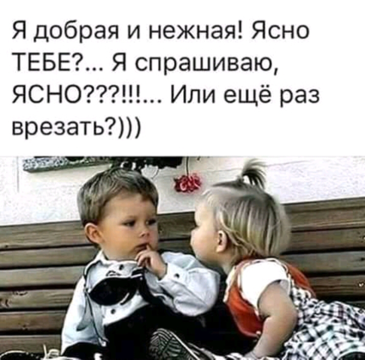 Я добрая и нежная Ясно ТЕБЕ Я спрашиваю ЯСНО Или ещё раз врезать