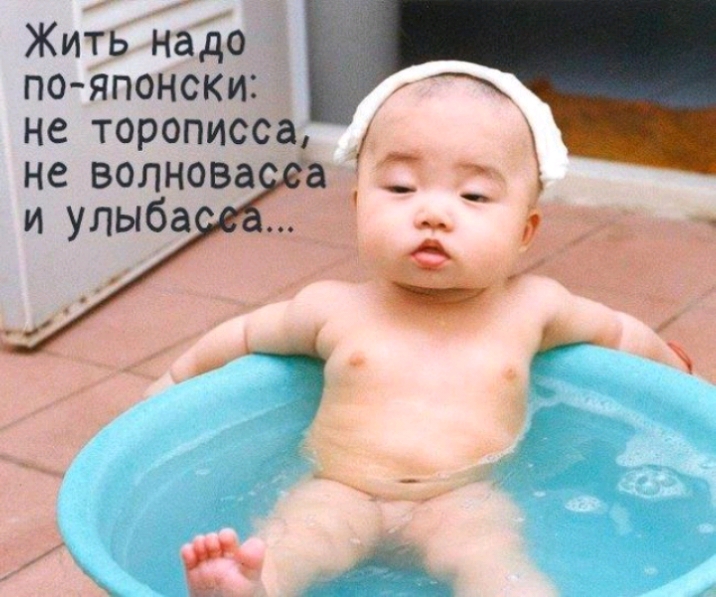 Жить надо пояпонски не торописса не волнова
