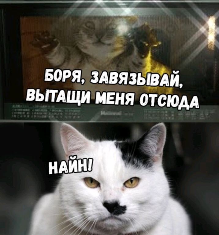 Боря здвязывдй