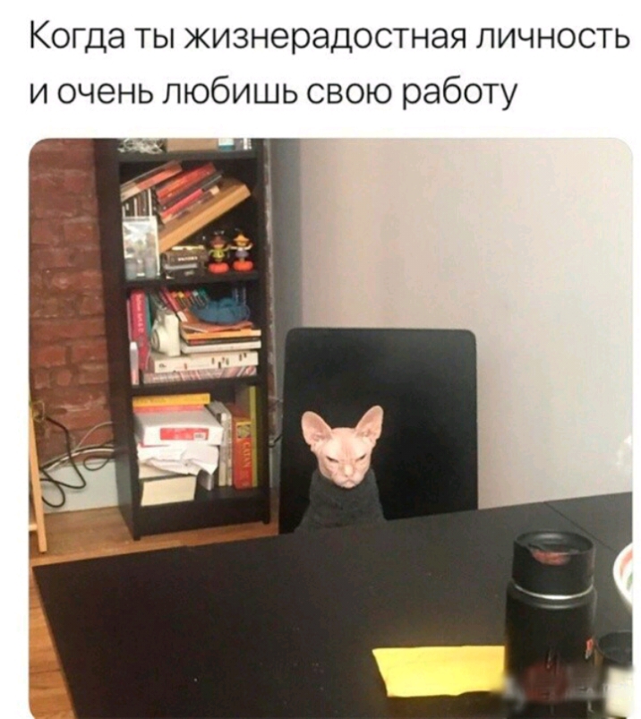 Когда ты жизнерадостная личность и очень любишь свою работу
