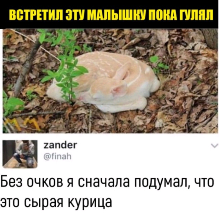 гапбег г Без очков я сначала подумал что это сырая курица