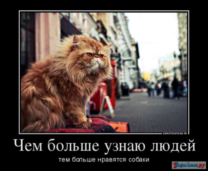 Чем больше узнаю людей гем бопьше нравятся собаки