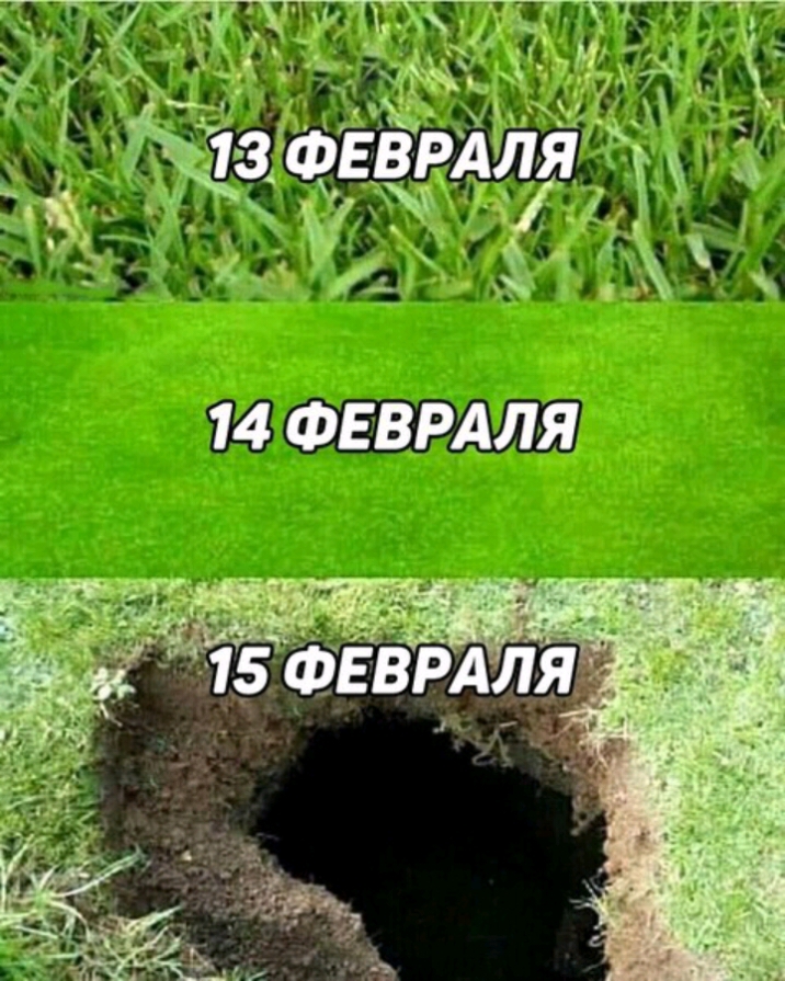 РАЛЯ 115 51 _ 4 _ А