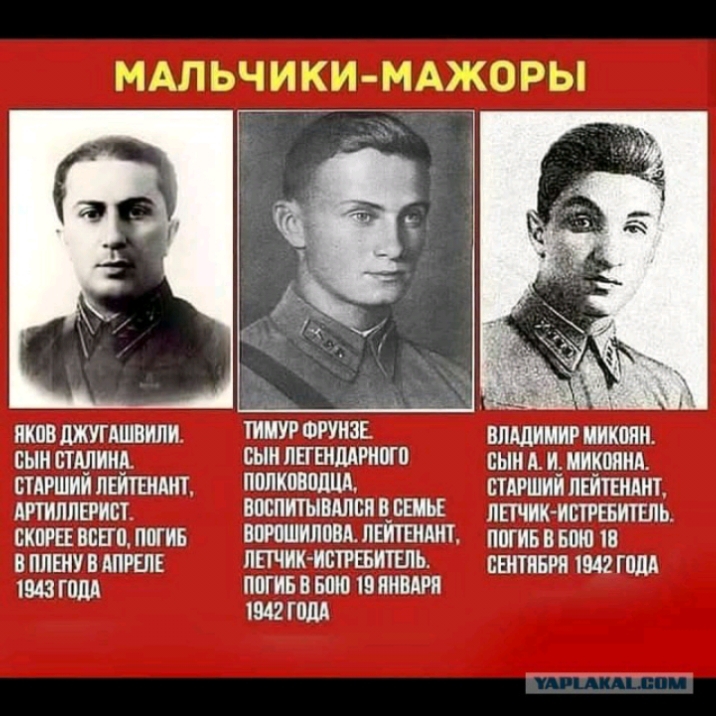 т _ дд ц дп мг ш и ХЦГЬ ц пкпв шкугдшвили ШНУР ФРУНЗЕ влшииириикши сын шпиц сыи ПЕГБШЛРНВГП сын А и никоим спгшии пишиш полкшплш старший пишиш лтппписг ВМПИШШБЦБШЬЕ пшик истратили активные погиь ШРШМЛВВА ЛЕИТЕНШТ ппгивввпш ш в пищу в АПРЕЛЕ ЯЩИК ИСТРЕБИТЕПЬ пвппврп иш гилд шагом погиввшю шипит 1542 гом