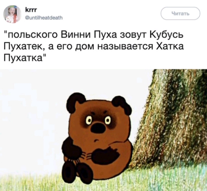_ Кт ЧисіЬ МП польского Винни Пуха зовут Кубусь Пухатек его дом называется Хатка Пухатка
