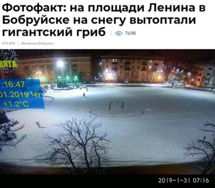 Фотофакт на площади Ленина в Бобруйске на снегу вытоптали гигантский гриб 20 0274 НЛП