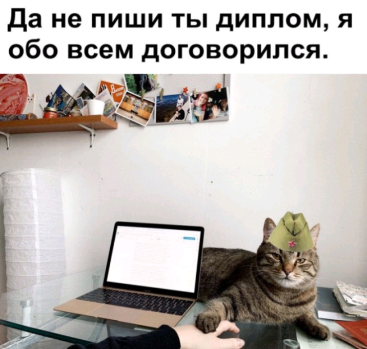 Да не пиши ты диплом я обо всем договорился