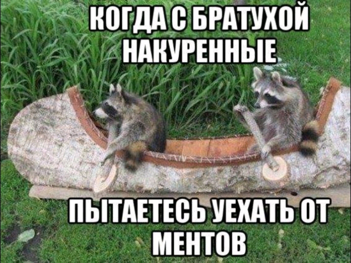 НПГДА 0 БРАТУХПЙ НАНУРЕННЫЕ пытдътюпгувхдтвёбі ментов