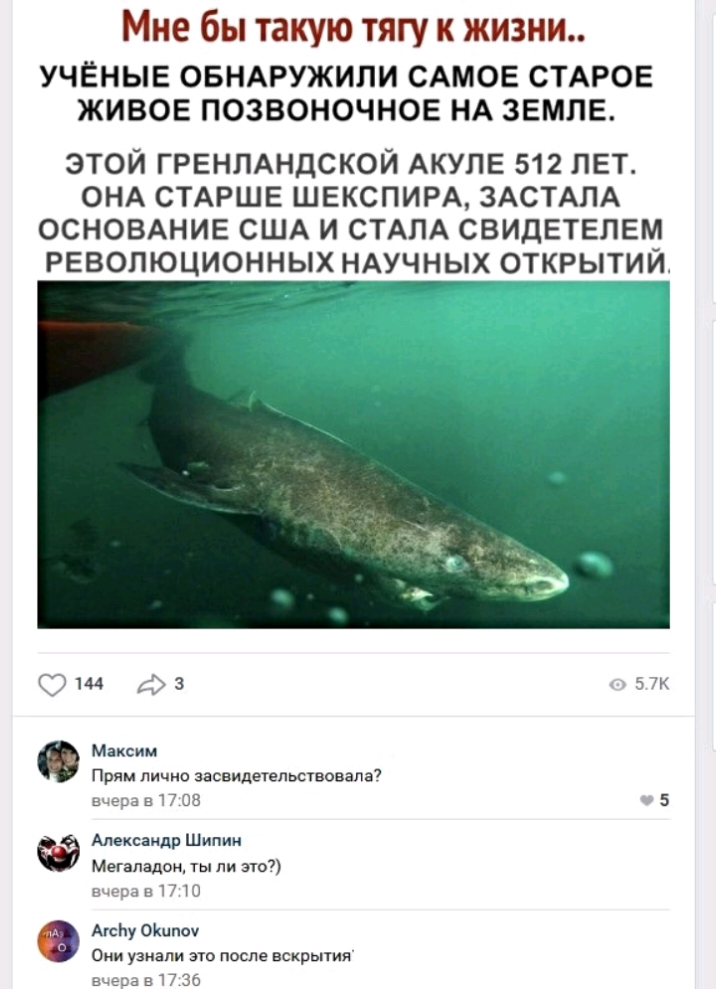 Мне бы такую тягу к жизни УЧЕНЫЕ ОБНАРУЖИЛИ САМОЕ СТАРОЕ ЖИВОЕ ПОЗВОНОЧНОЕ НА ЗЕМЛЕ ЭТОЙ ГРЕНЛАНДСКОЙ АКУЛЕ 512 ЛЕТ ОНА СТАРШЕ ШЕКСПИРА ЗАСТАПА ОСНОВАНИЕ США И СТАЛА СВИДЕТЕПЕМ РЕВОЛЮЦИОННЫХ НАУЧНЫХ ОТКРЫТИЙ 9144 фз 57к Максим Прям лично засвидетепьствовала7 вчера в 17 08 5 Александр Шипин Мегападон ты ли это вчера в 17 то АгсЬу Оішпоу о узнали это после вскрытия вчеоа в 17 36