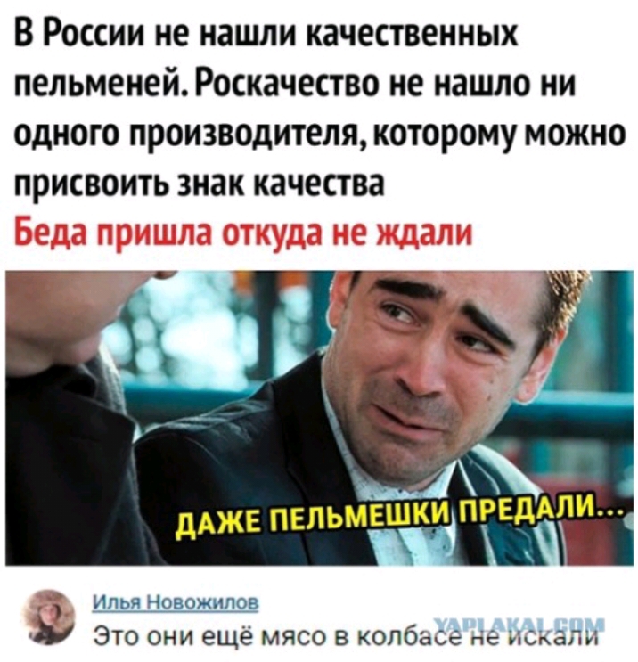 В России не нашли качественных пельменей Роскачество не нашло ни одного производителя которому можно присвоить знак качества дАЖЕ пельмщкиіпведдпи Илья Новожилов Это они ещё мясо в колбасе не искали