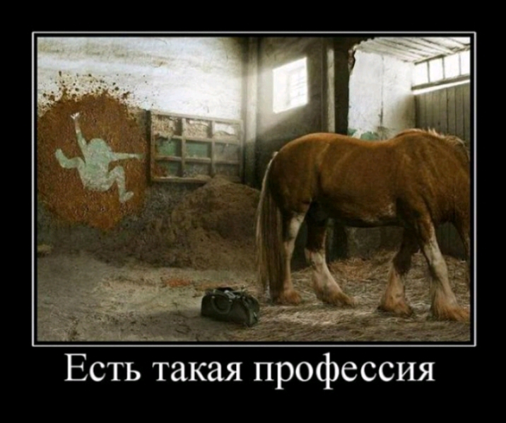 Есть такая профессия