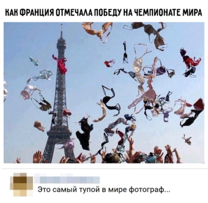 НАН ФРАНЦИЯ ОТМЕЧААА ПОБЕДУ НА ЧЕМПИОНАТЕ МИРА а _9 Это самый тупой в мире фотограф