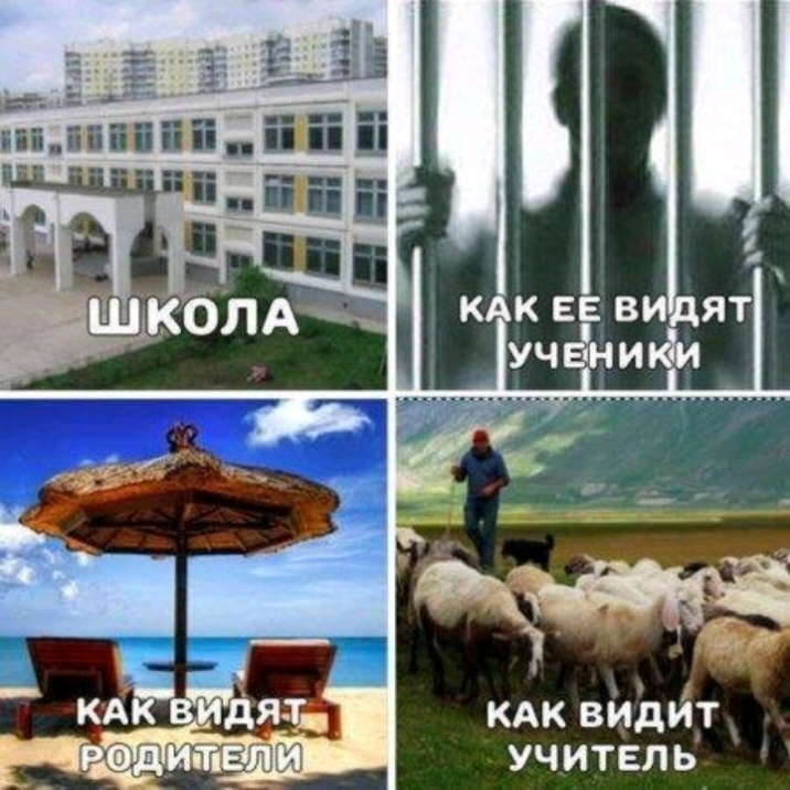 кдк видйт учитель