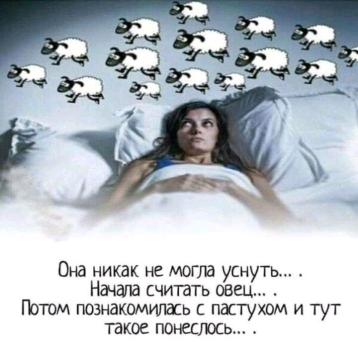 Она никак не могла уснуть Начала считать овец Потм познакомилась с пастухом и тут такое понеслось