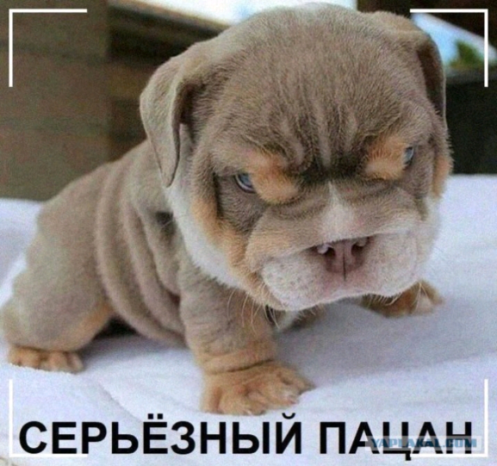 СЕРЬЁЗНЫИ ПАЦАН
