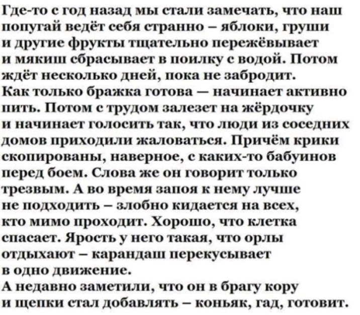 Где то с год назад мы стали замечать что наш попугай ведёт себя странно яблоки груши и другие фрукты тщательно пережёвывает и мякиш сбрасывает в поилку с водой Потом ждёт несколько дней пока не забродит Как только бражка ютова начинает активно пить Потом с трудом залезет на жёрдочку и начинает голосить так что люди из соседних домов приходили жаловаться Причём крики скопированы наверное с каких то