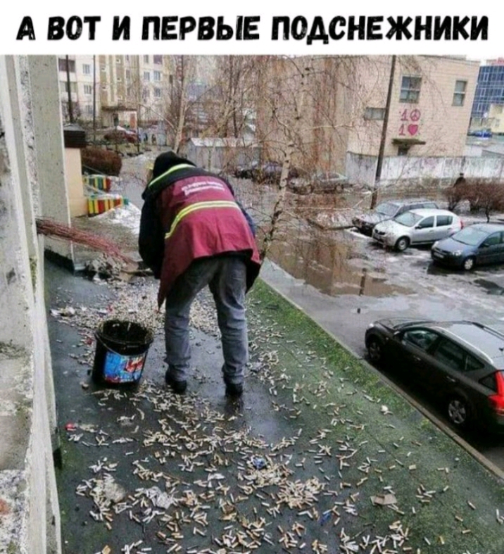 ПОАСНЕЖНИКИ Ё __ _