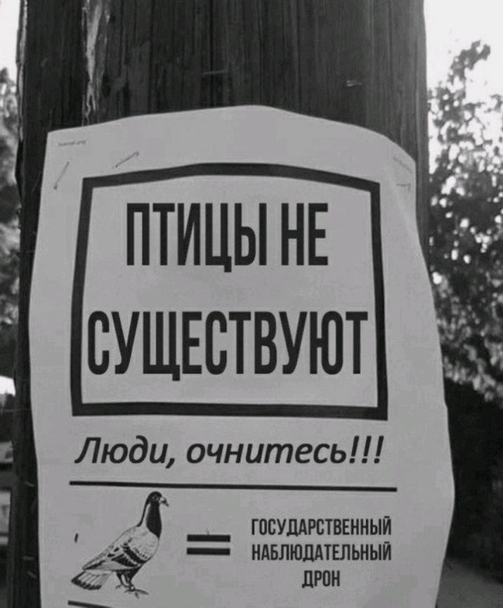 ПТИЦЫ НЕ СУЩЕСТВУЮТ Люди очнитесь _ 4 _ ГПСУШРСТВЕННЫЙ _ ИАБЛЮШТЕЛЬНЫЙ ЛРОН