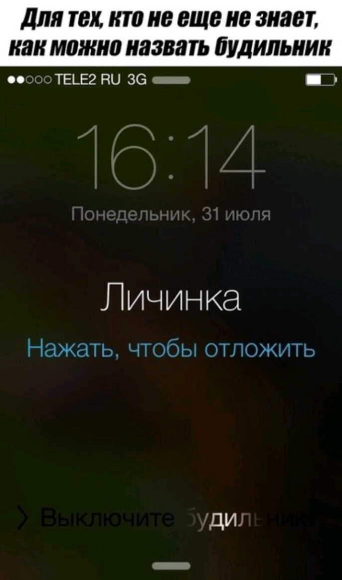 ДЛЯ ТВК КТ 0 8 ЕЩЕ В 311881 КШ МШШЮ 3388 УДИЛЫШК тТЕЬЕг РЮ 36 _ Гі Личинка Нажать чтобы отложить дид