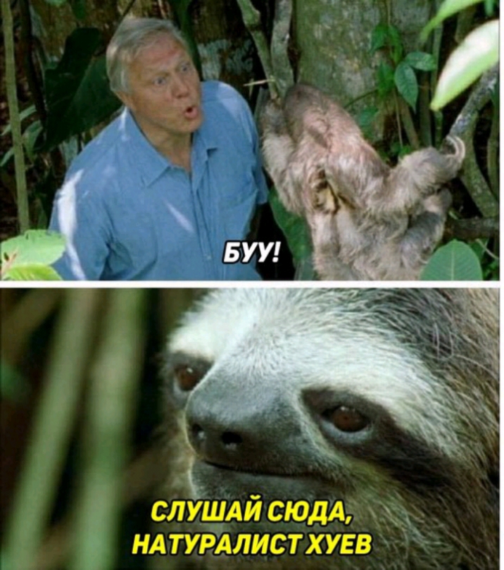 слушди сюдА ндтурдлистхуьв