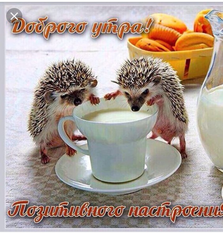 т