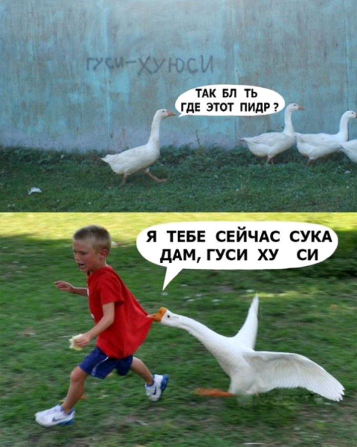 Я ТЕБЕ СЕЙЧАС СУКА дАМ ГУСИ ХУ СИ