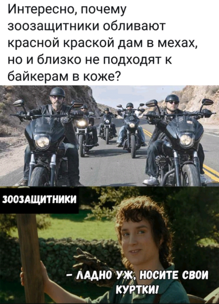 Интересно почему зоозащитники обливают красной краской дам в мехах но и близко не подходят к байкерам в коже АААНО Уж НОСИТЕ СВОИ М КУЪПКИ