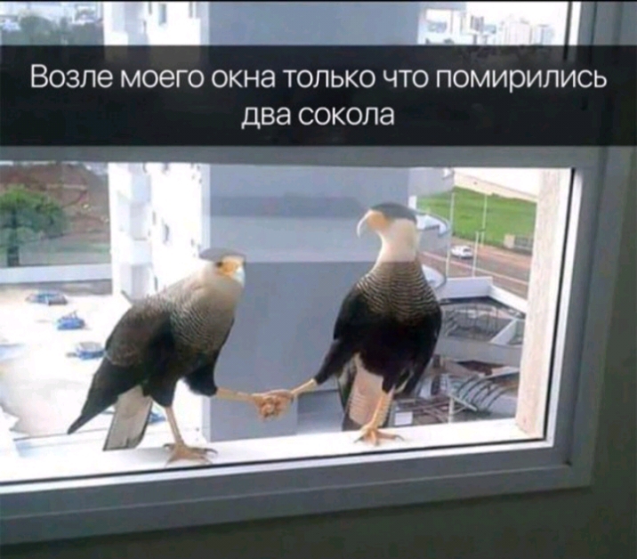 _ Возле МОЭГО ОКНЭ ТОЛЬКО ЧТО ПОМИРИПИСЬ ДВЭ СОКОПЭ