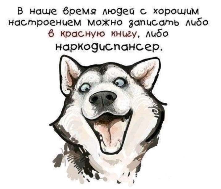 В наше время Аюяеп с хорошим настроением можно записать 60 6 красную книгу Аибо норкоэиспонсер