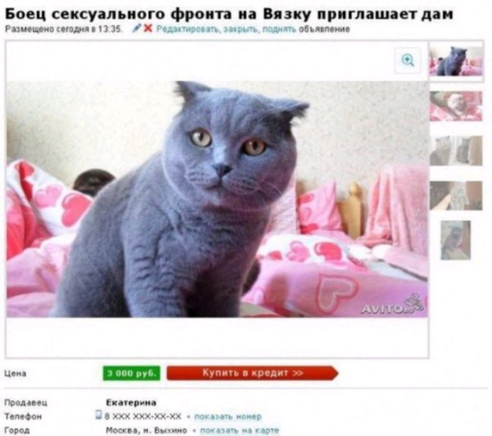 Боец сексуального френча иа Бязку приглашает даи Рпцошиопюмппі 5 17 Плита тип шп ввп ммс прода ем пни м плеоох ххх ххххххх и ввод Ноа мч в